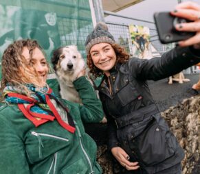 Caherconnell Stone Fort and Sheepdog Demonstrations Co Clare TI7XW9 1